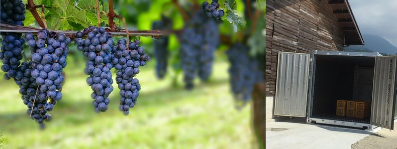 ワイナリー様│収穫したブドウの保冷（冷蔵コンテナ）【リーファーコンテナ事例】