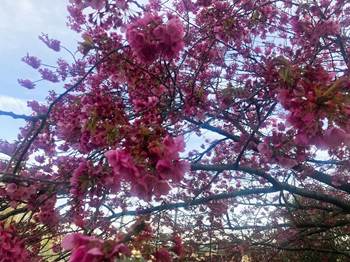 中古コンテナ倉庫が“埋まる”理由｜13ft（特殊サイズ）改造コンテナで賢く保管